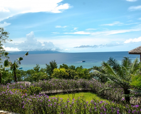 Garden-View-low